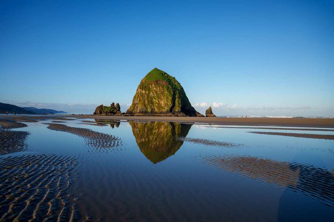 El Paseo Del Rosedal. Foto: Kelly Pelisser