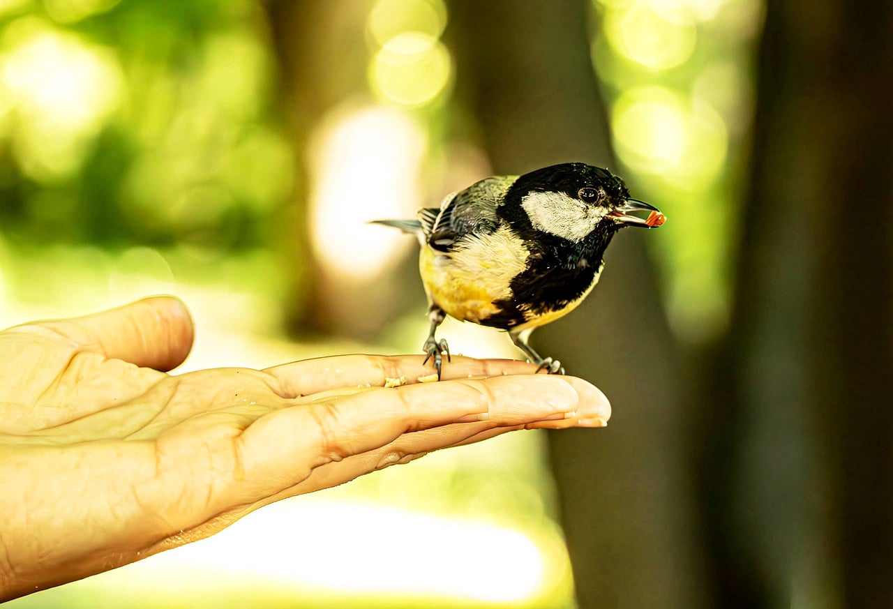 Provei um suco e um pedaço de bolo de amendoim. Foto: Kelly Pelisser