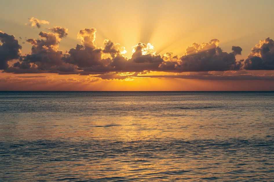 Uma das paradas é em um flamboyant lindo! Foto: Kelly Pelisser